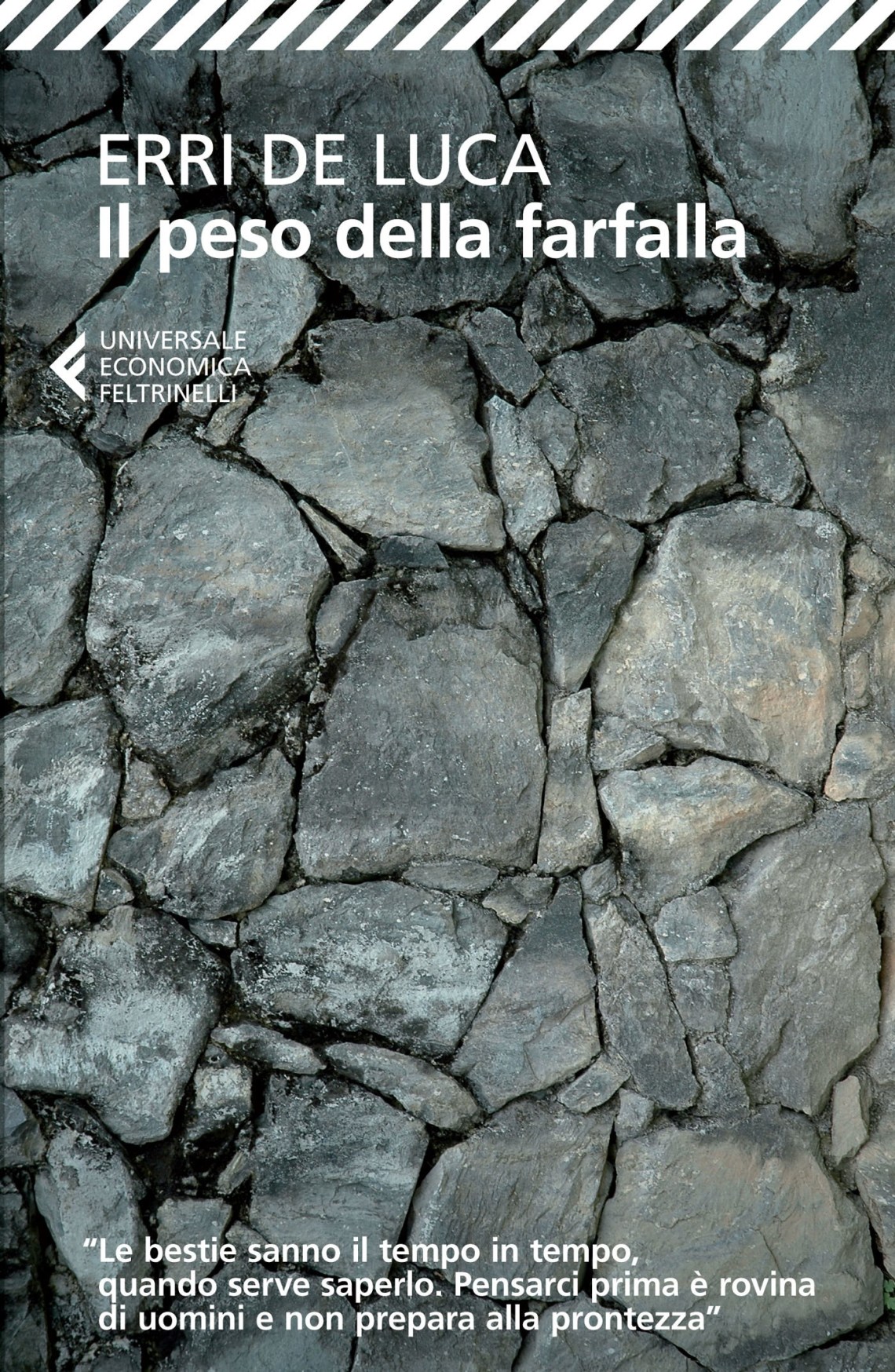 cover (1)